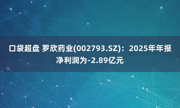 口袋超盘 罗欣药业(002793.SZ)：2025年年报净利润为-2.89亿元