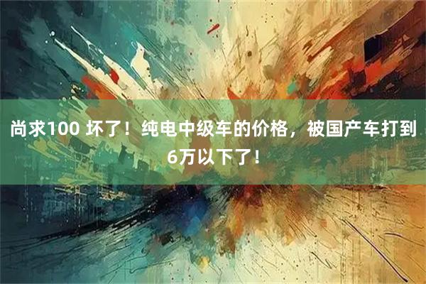 尚求100 坏了！纯电中级车的价格，被国产车打到6万以下了！