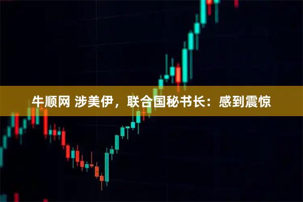 牛顺网 涉美伊，联合国秘书长：感到震惊