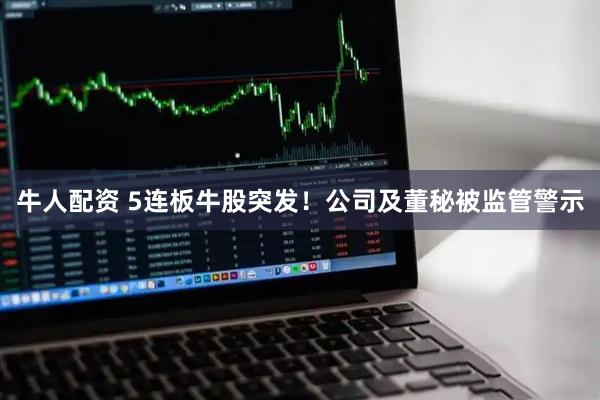 牛人配资 5连板牛股突发！公司及董秘被监管警示
